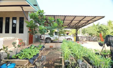 4 Bedroom House for sale in Pho Chai, Nong Khai