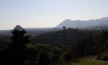 3 Bedroom Villa for sale in Mae Yao, Chiang Rai