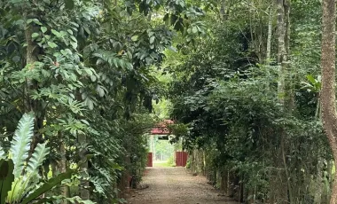 3 Bedroom House for sale in , Phatthalung