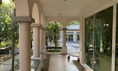 An Elegance Single House from Top Brand From Q House