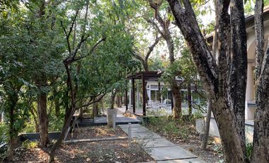 An Elegance Single House from Top Brand From Q House