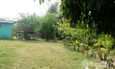 2 Bedroom House for sale in Bua Ban, Kalasin