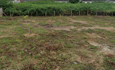 Land for sale in Cha-Am, Phetchaburi
