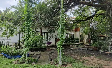 7 Bedroom House for sale in Nong Khon, Ubon Ratchathani