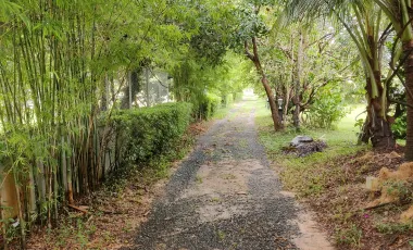 7 Bedroom House for sale in Nong Khon, Ubon Ratchathani