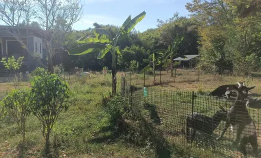 4 Bedroom House for sale in Song Salueng, Rayong