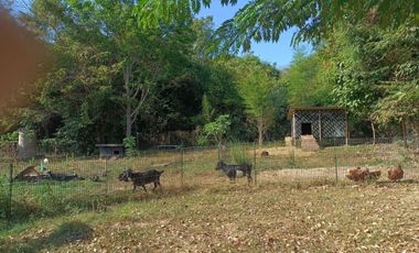 4 Bedroom House for sale in Song Salueng, Rayong