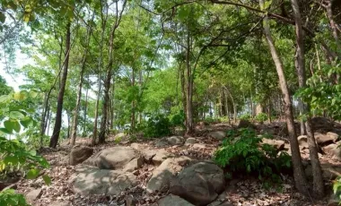 2 Bedroom House for sale in Na Sam, Phetchabun