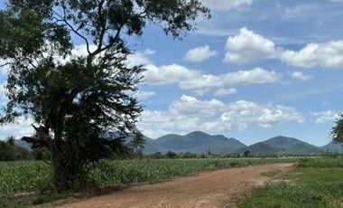 Land for sale in Cha-Am, Phetchaburi