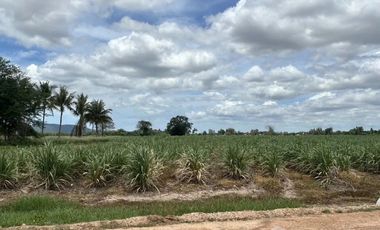 Land for sale in Cha-Am, Phetchaburi