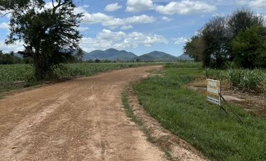 Land for sale in Cha-Am, Phetchaburi