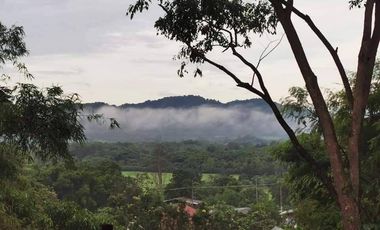 5 Bedroom House for sale in Mittraphap, Saraburi