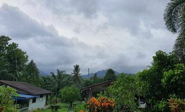 2 Bedroom House for sale in Krasom, Phangnga