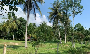 2 Bedroom House for sale in Saphli, Chumphon