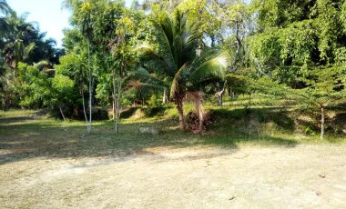 2 Bedroom House for sale in Saphli, Chumphon