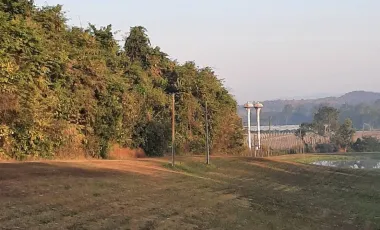 4 Bedroom House for sale in Wiang, Chiang Rai