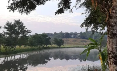 4 Bedroom House for sale in Wiang, Chiang Rai