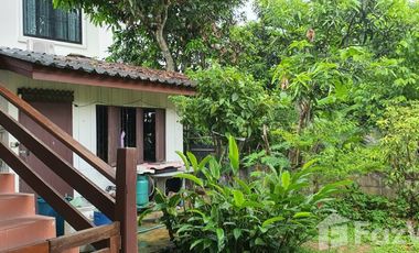 3 Bedroom House for sale in San Sai, Chiang Rai