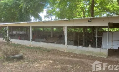 12 Bedroom Hotel for sale in Chiang Wae, Udon Thani