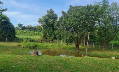 3 Bedroom Villa for sale in Huai Sak, Chiang Rai