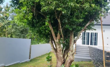 3 Bedroom Villa for sale in Huai Sak, Chiang Rai