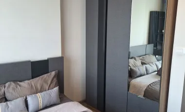 The Base Height