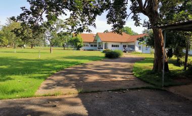 6 Bedroom House for sale in Phon Thong, Kalasin