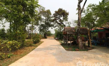 3 Bedroom House for sale in Nong Phai, Udon Thani