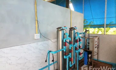 3 Bedroom House for sale in Nong Phai, Udon Thani