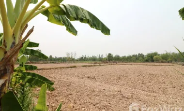 3 Bedroom House for sale in Nong Phai, Udon Thani