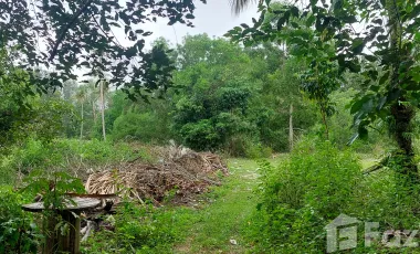 17 Bedroom Hotel for sale in Thai Mueang, Phangnga