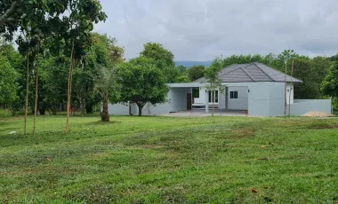 3 Bedroom Villa for sale in Huai Sak, Chiang Rai