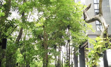 1 Bedroom Condo for sale at Limited no.304