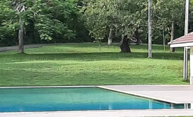 6 Bedroom Villa for sale in Wiang, Chiang Rai
