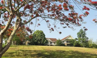 6 Bedroom Villa for sale in Wiang, Chiang Rai