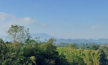 6 Bedroom Villa for sale in Wiang, Chiang Rai
