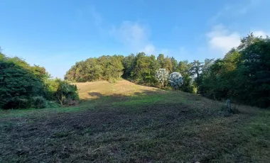 6 Bedroom Villa for sale in Wiang, Chiang Rai