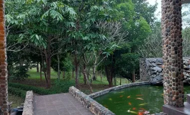 6 Bedroom Villa for sale in Wiang, Chiang Rai