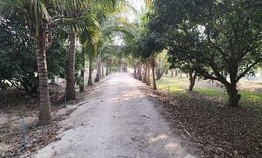 3 Bedroom House for sale in Wang Dong, Kanchanaburi