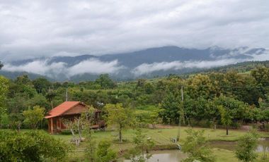 24 Bedroom Hotel for sale in Thung Yao, Mae Hong Son