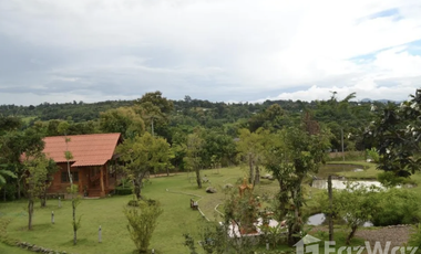 24 Bedroom Hotel for sale in Thung Yao, Mae Hong Son