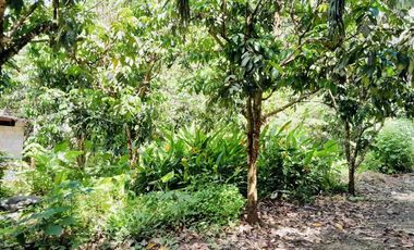 2 Bedroom House for sale in Lamphura, Trang