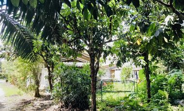 2 Bedroom House for sale in Lamphura, Trang