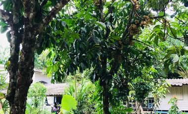 2 Bedroom House for sale in Lamphura, Trang