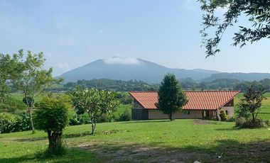 5 Bedroom House for sale in Ngao, Chiang Rai