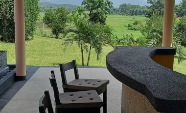 5 Bedroom House for sale in Ngao, Chiang Rai