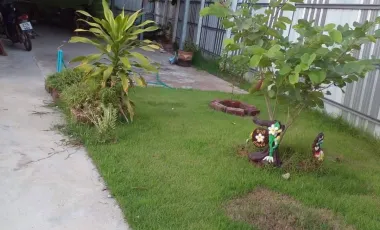 2 Bedroom House for sale in Nong Lum, Phichit