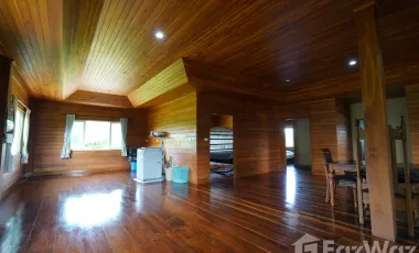 3 Bedroom House for sale in Du Phong, Nan
