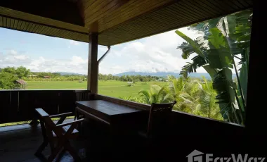 3 Bedroom House for sale in Du Phong, Nan