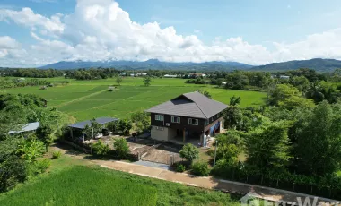 3 Bedroom House for sale in Du Phong, Nan